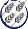 Biblical Ministries Logo